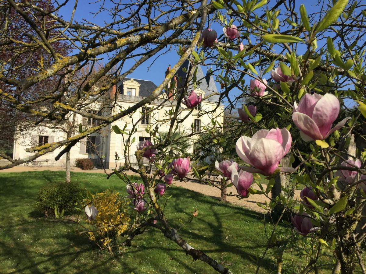 Chateau De La Coutanciere Brain-sur-Allonnes Kültér fotó