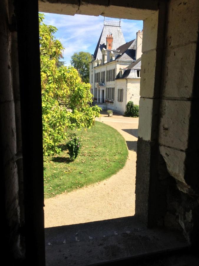 Chateau De La Coutanciere Brain-sur-Allonnes Kültér fotó